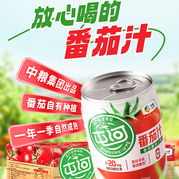 中粮屯河番茄汁饮料250ml*6罐西红柿轻断食果蔬汁无添加剂蕃茄