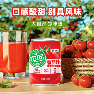 中粮屯河酸甜番茄汁245ml 6罐果蔬汁饮料西红柿汁含番茄红素饮品