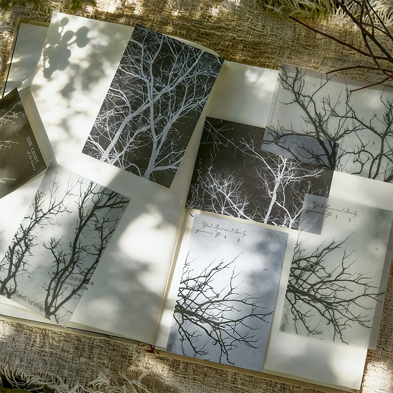 M｜自然如画双材质素材纸 朦胧感优雅疏影素雅硫酸纸大地纸20张入,文具电教/文化用品/商务用品,文创/手作/文化用品,淘宝优惠券,粉丝福利购,淘宝优惠卷