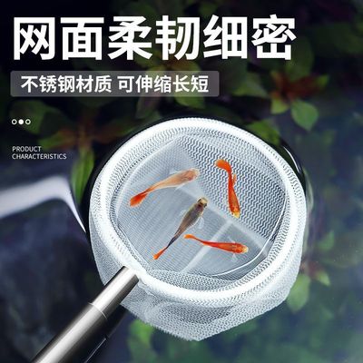 小渔捞捞鱼网鱼缸水族箱金鱼丰年虾网捞密网儿童捞鱼网兜细眼大号