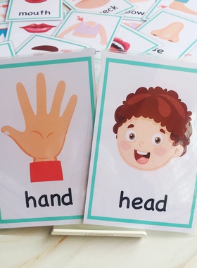 英语卡片防水闪卡body身体部位卡30张幼儿园儿童单词卡认知启蒙图