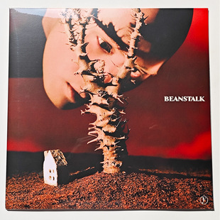 正版 YELLOW黄宣《BEANSTALK》LP黑胶唱片12寸大碟 现货