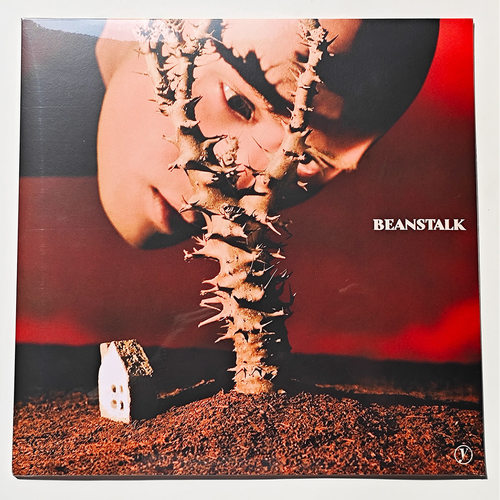 正版 YELLOW黄宣《BEANSTALK》LP黑胶唱片12寸大碟 现货
