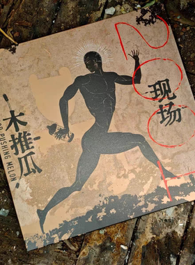 正版 宋雨喆 木推瓜乐队 2001现场 LP黑胶唱片 附带限量编号