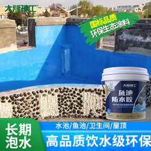 鱼池防水涂料长期泡水室外瓷砖饮用水池塘鱼缸补漏材料胶专用油漆