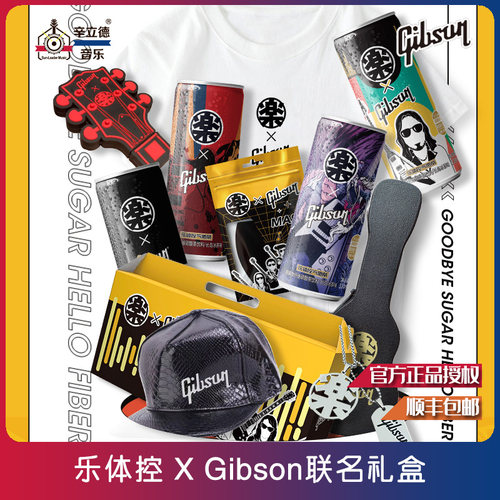 【乐体控 X Gibson联名礼盒】项链+帽子+T恤+u盘+口罩+数码罐
