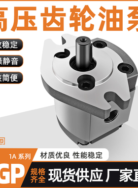 HGP-1A-F6R高压齿轮泵HGP-1A-F4R/F2R/F8R/F1R/F5R/F3R液压齿轮泵