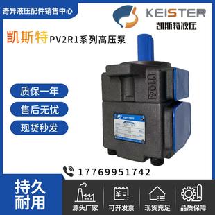 PV2R1 31FR 浙江凯斯特KEISTER叶片泵