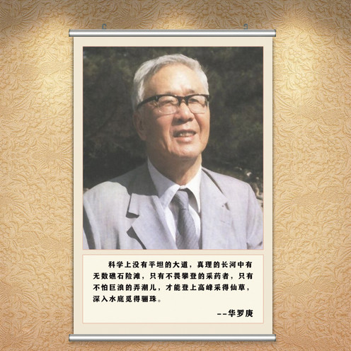 中国科学家挂像华罗庚画像名人名现代装饰画