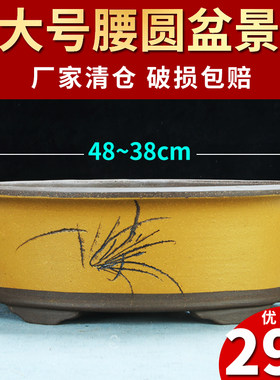 紫砂古典特大椭圆种树陶瓷盆景盆