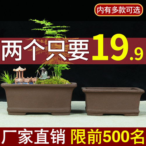 紫砂简约特大长方形兰花盆