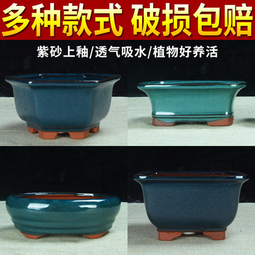 宜兴紫砂釉水花盆蝴蝶兰君子兰精品六方兰花盆特价清仓釉盆陶瓷盆