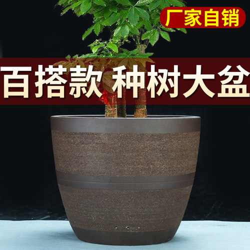 紫砂中国风粗陶紫砂特大种树盆景