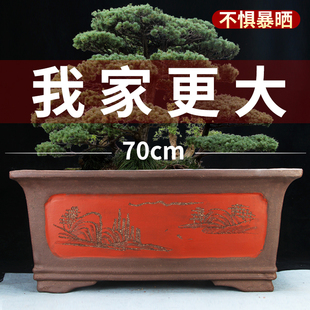 宜兴紫砂花盆70cm以上超大种树长方盆特价清仓特大老桩陶瓷盆景盆