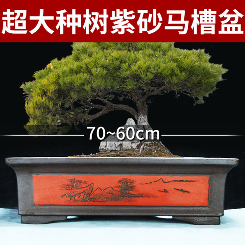 紫砂中国风超大种树紫砂长马槽盆