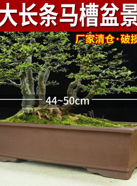 宜兴紫砂花盆特价清仓长方长条盆景盆兰花树桩老桩大号专用马槽盆