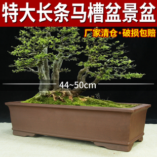 宜兴紫砂花盆特价清仓长方长条盆景盆兰花树桩老桩大号专用马槽盆