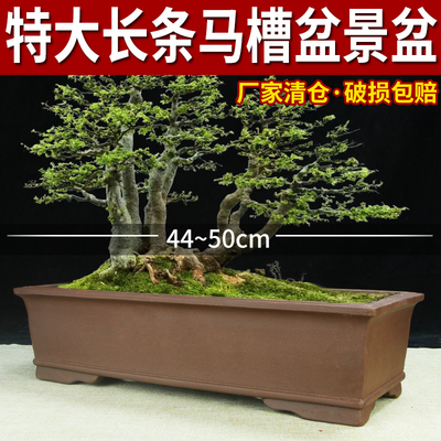 宜兴紫砂花盆特价清仓长方长条盆景盆兰花树桩老桩大号专用马槽盆