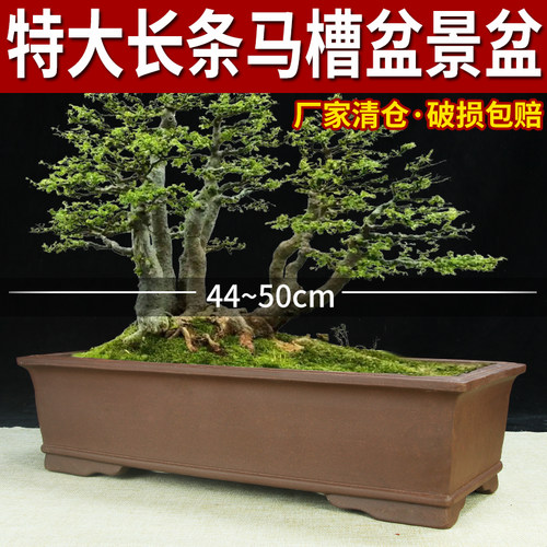 宜兴紫砂花盆特价清仓长方长条盆景盆兰花树桩老桩大号专用马槽盆
