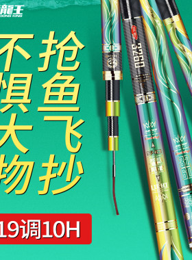 海龙王3260精华版10H钓鱼竿手杆超硬19调碳素鲤鱼鲫鱼罗飞台钓竿