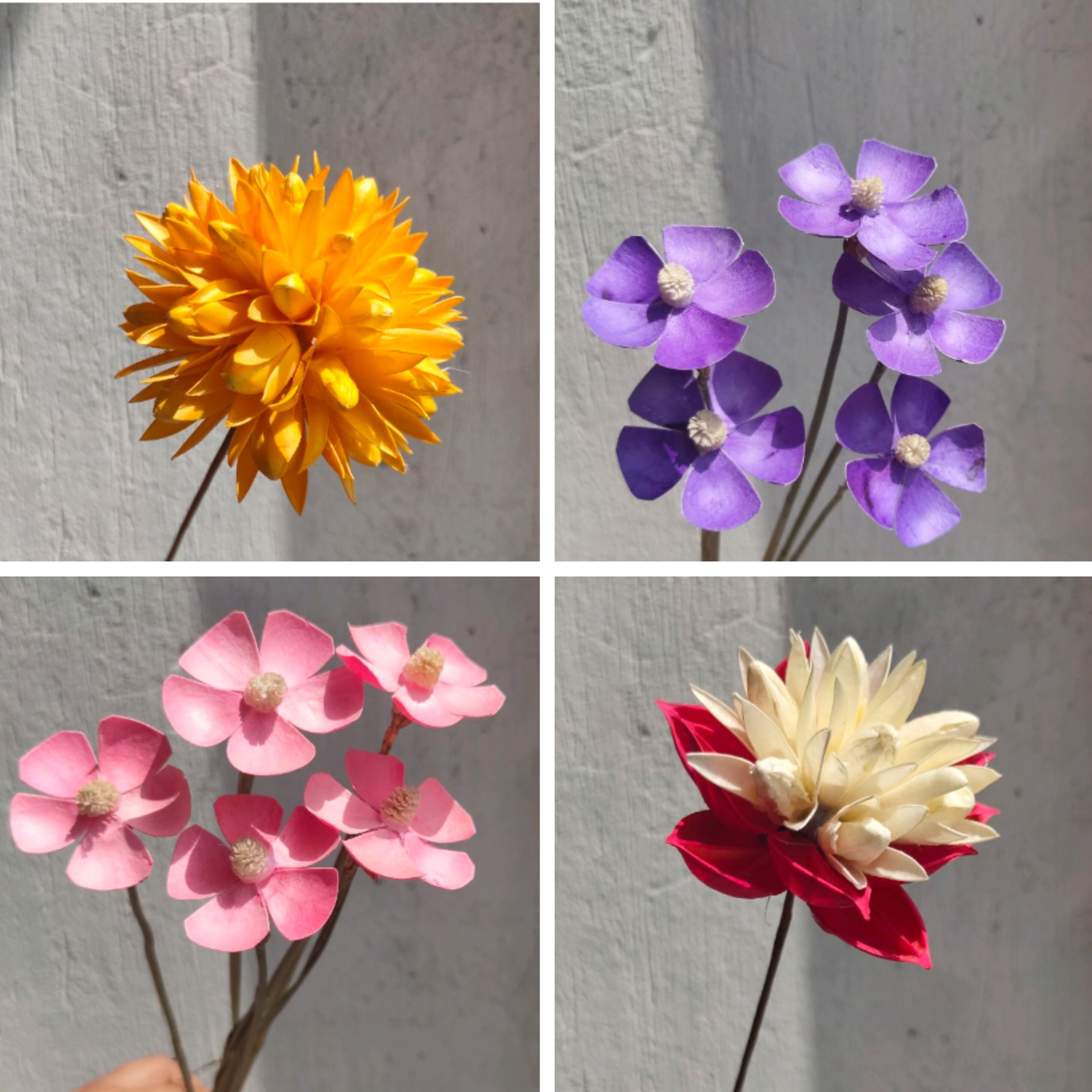 一束花束干花多少钱 一束花束干花优惠券免费领取 有条鱼