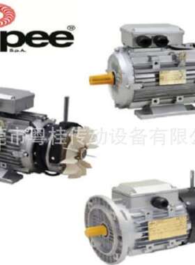 意大利SEIPEE刹车电机 SEIPEE刹车马达 意大利SEIPEE电机 JM63C2
