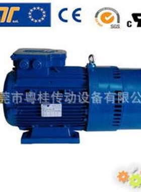 意大利TEMPORITI电机 TEMPORITI刹车电机 REBM71B4/0.37KW