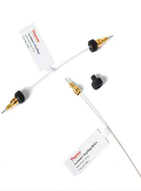 Thermo液相色谱耗材 DNAPac RP 色谱柱 088923