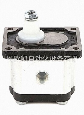 意大利OT齿轮马达OT200P08D/G28P2