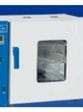 电热恒温鼓风干燥箱 型号:W1-101-0AB库号:M333524