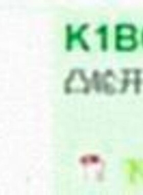 KNA160DL4SCHNEIDER代理（原厂国外采购）供应负荷开关K1B002NCHC