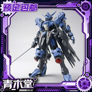 预定定金 忠国模型 复仇的大舅哥 维达尔 1/100 国创 拼装模型