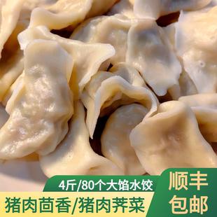 食品早餐水饺速冻芹菜韭菜猪肉大葱茴香水饺肉馅饺子冷商用半成品