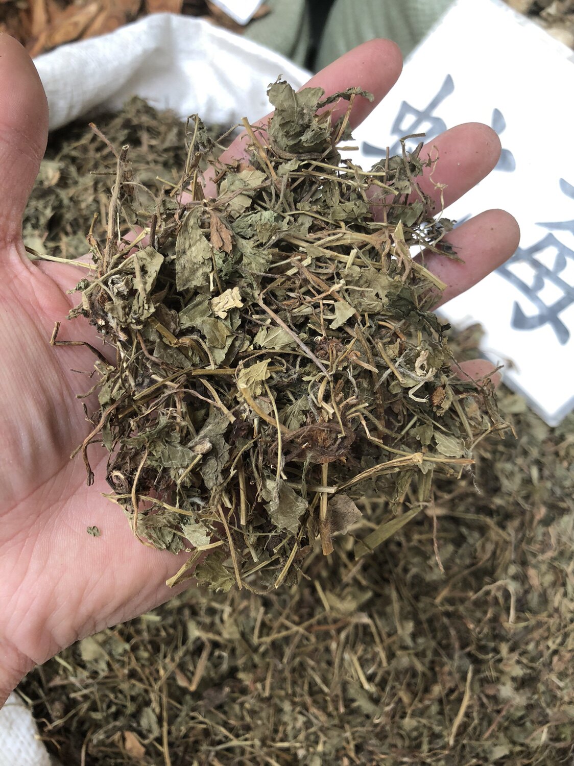 蛇莓中草药材三脚虎落地杨梅三爪风蛇泡草龙吐珠