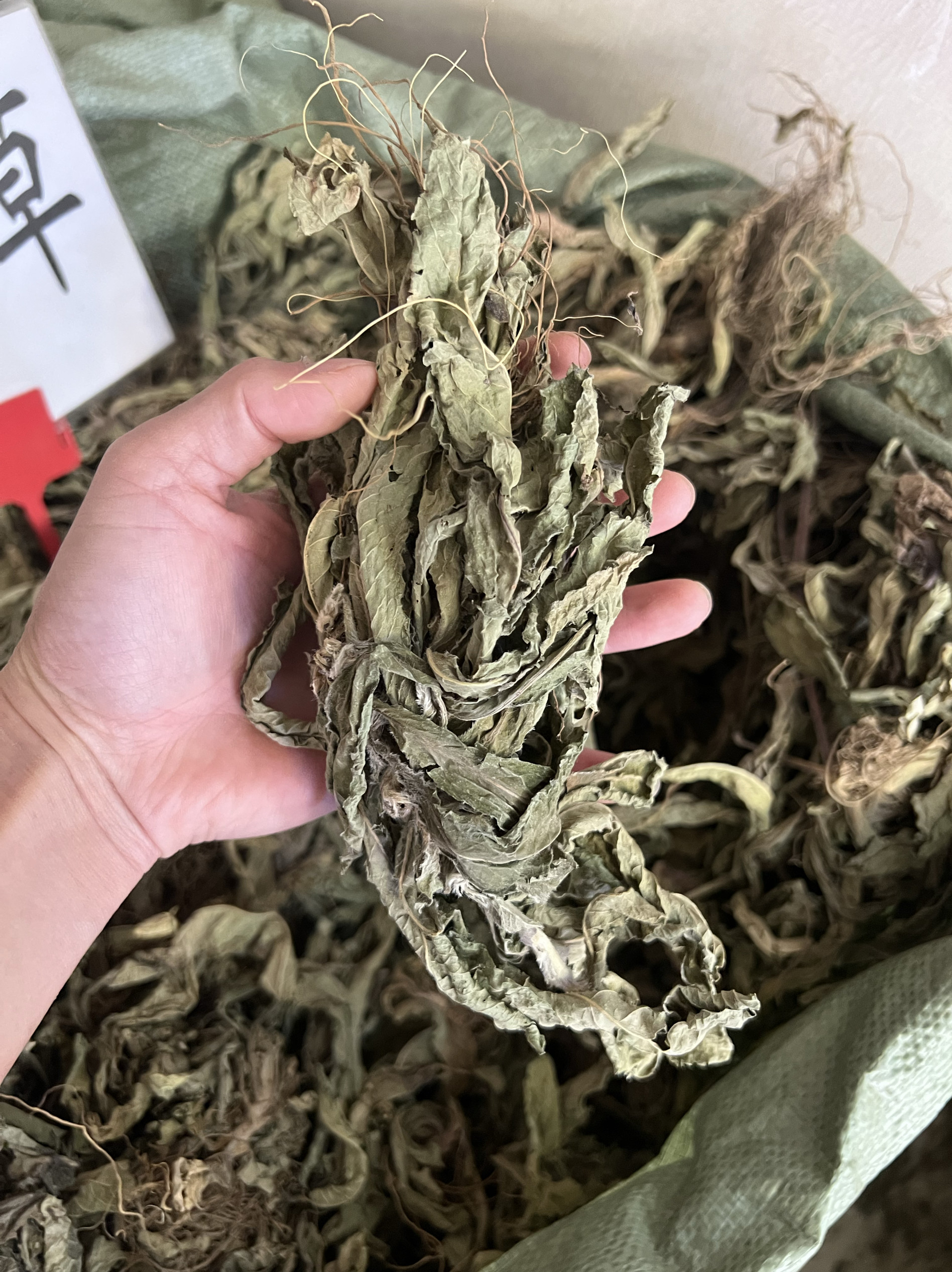 地胆草中药材500g 地苦胆白花地胆头地斩头中草药全株晒干