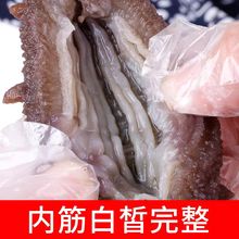 臻品海参即食辽参新鲜即食500克