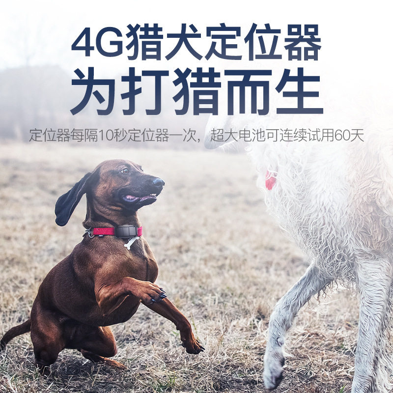 LMHOME宠物gps定位跟踪器猫牛羊防水长待机项圈猎犬GPS追踪定位器
