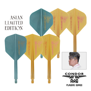 CONDOR AXE 香港镖手梁文洛翅膀图案新款飞镖叶一体方形飞镖尾翼