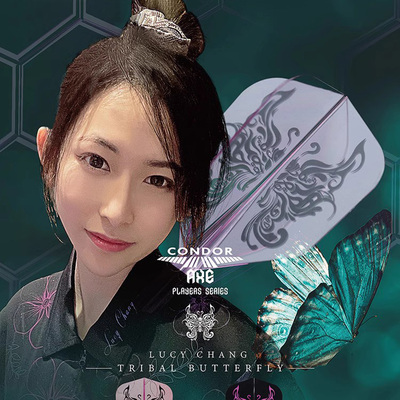 CONDOR神鹰镖翼比赛飞镖叶