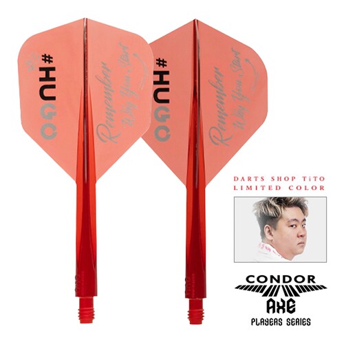 CONDOR AXE GO Hugo梁文洛限定款神鹰小方形加硬大方形一体飞镖翼