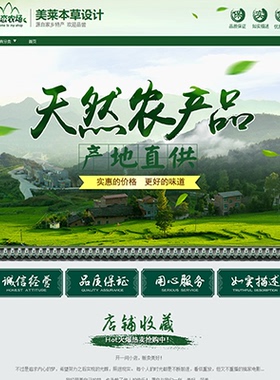 A450淘宝店铺装修模板农副产品家乡地方土特产绿色天然农产品食品