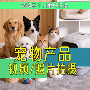 宠物产品用品摄影拍摄宠物猫狗兔模特广告视频制作电商淘宝亚马逊