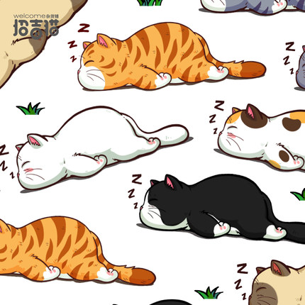 招吉猫手账贴猫咪防水贴纸治愈系diy装饰贴电脑笔记本水杯手机贴