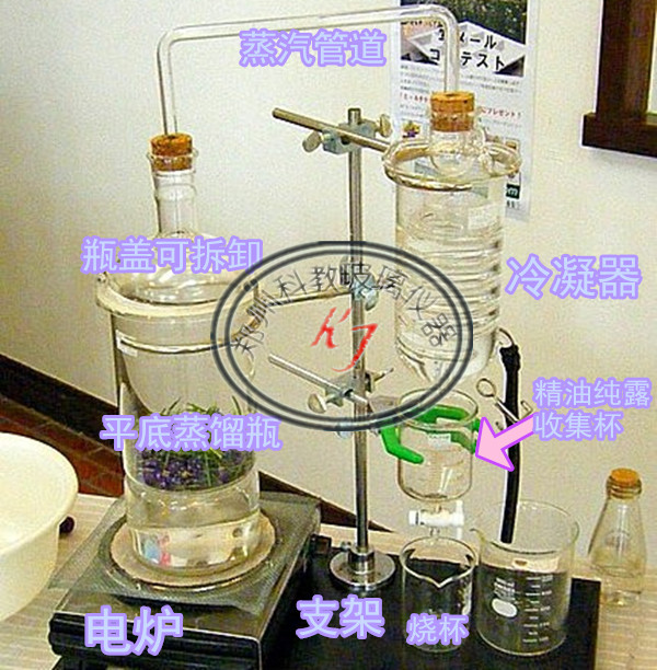 精油提取蒸馏装置蒸馏装置