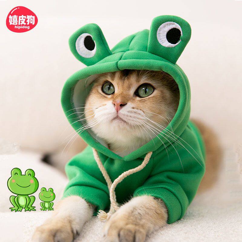 猫咪衣服网红秋冬款小青蛙连帽卫衣搞怪可爱保暖加绒两脚卫衣