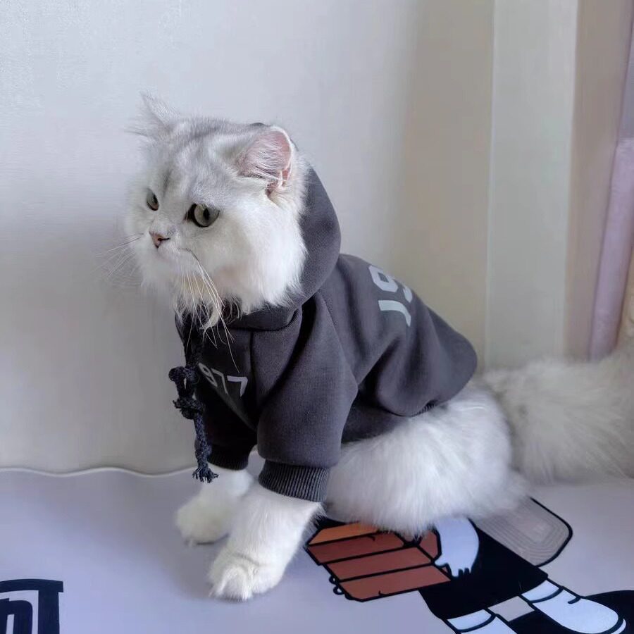 宠物衣服秋冬装猫咪洋气保暖加绒连帽卫衣布偶猫蓝猫公猫幼猫服装