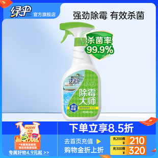 绿伞除霉剂660g 1瓶去霉斑霉菌墙体清洁剂家具实木发霉防霉常备