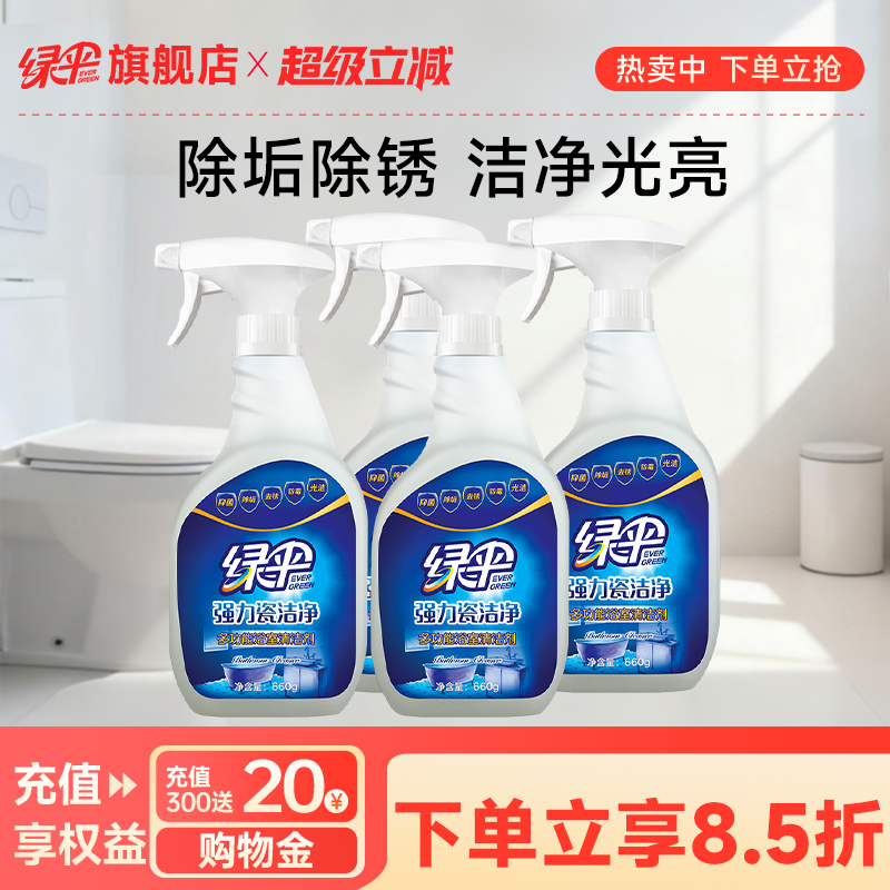 绿伞强力瓷洁净除垢除锈660g*4瓶