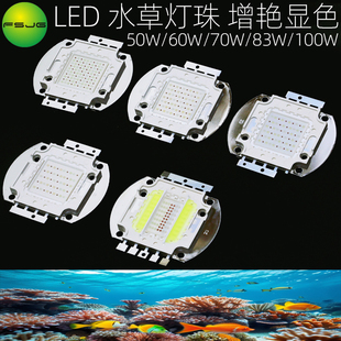 LED50W60W70W83W100W增艳显色大功率鱼缸海水灯光源水草水族灯珠