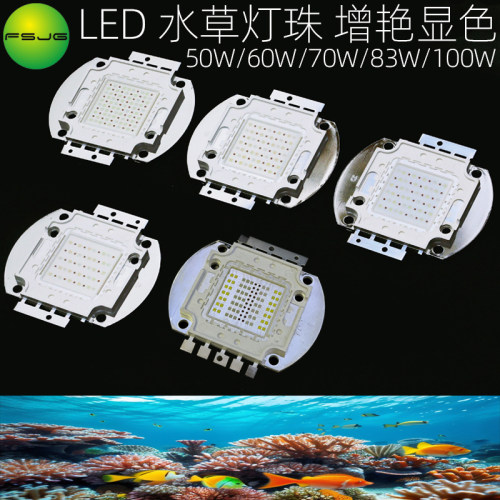 LED50W60W70W83W100W增艳显色